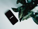 Minimalist photo of a smartphone displaying 'Create' next to green leaves on a white background.