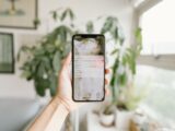 A hand holding a smartphone inside a modern, bright room with plants.