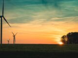 Wind turbines in a field at sunset