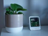 Plant next to a device displaying readings